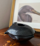 Mata Ortiz Pottery Blackware Turtle Seed Pot